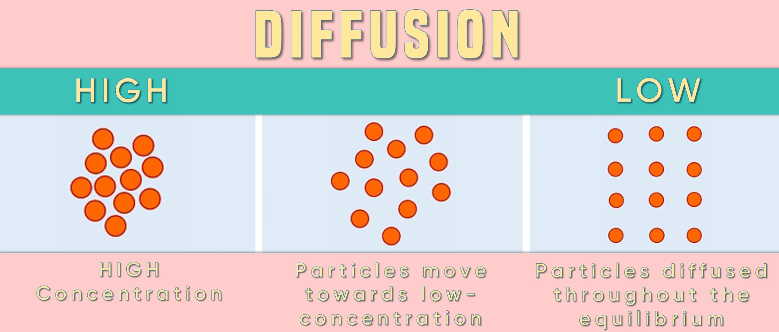 it illustrates diffusion with reference to what is concentration gradient and how it occurs.