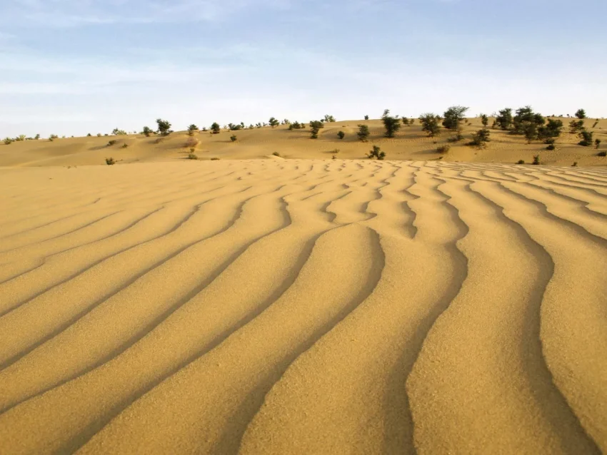 Thal desert is found in Punjab, Pakistan.