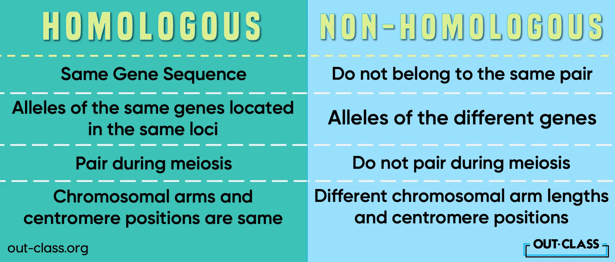 It shows the difference between homologous and non-homologous chromosomes in O Level Biology. As well as provides examples of homologous and non-homologous chromosomes.